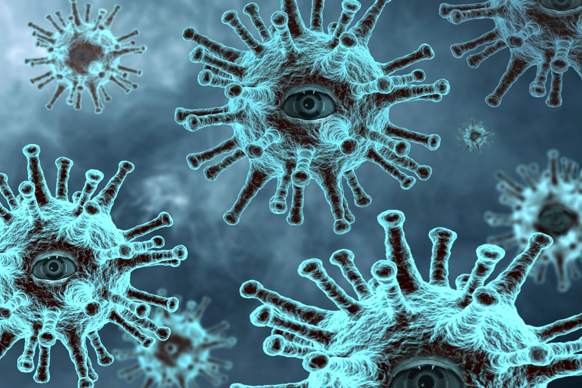 Virus Virus